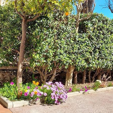Rez-De-Chaussee Privatif Spacieux 3* D'Une Villa Centre Ville Hyères Eksteriør billede